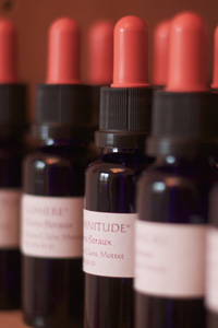 Elixirs floraux